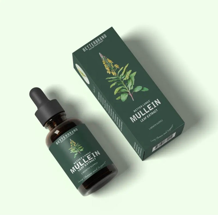 Mullein Leaf Extract
