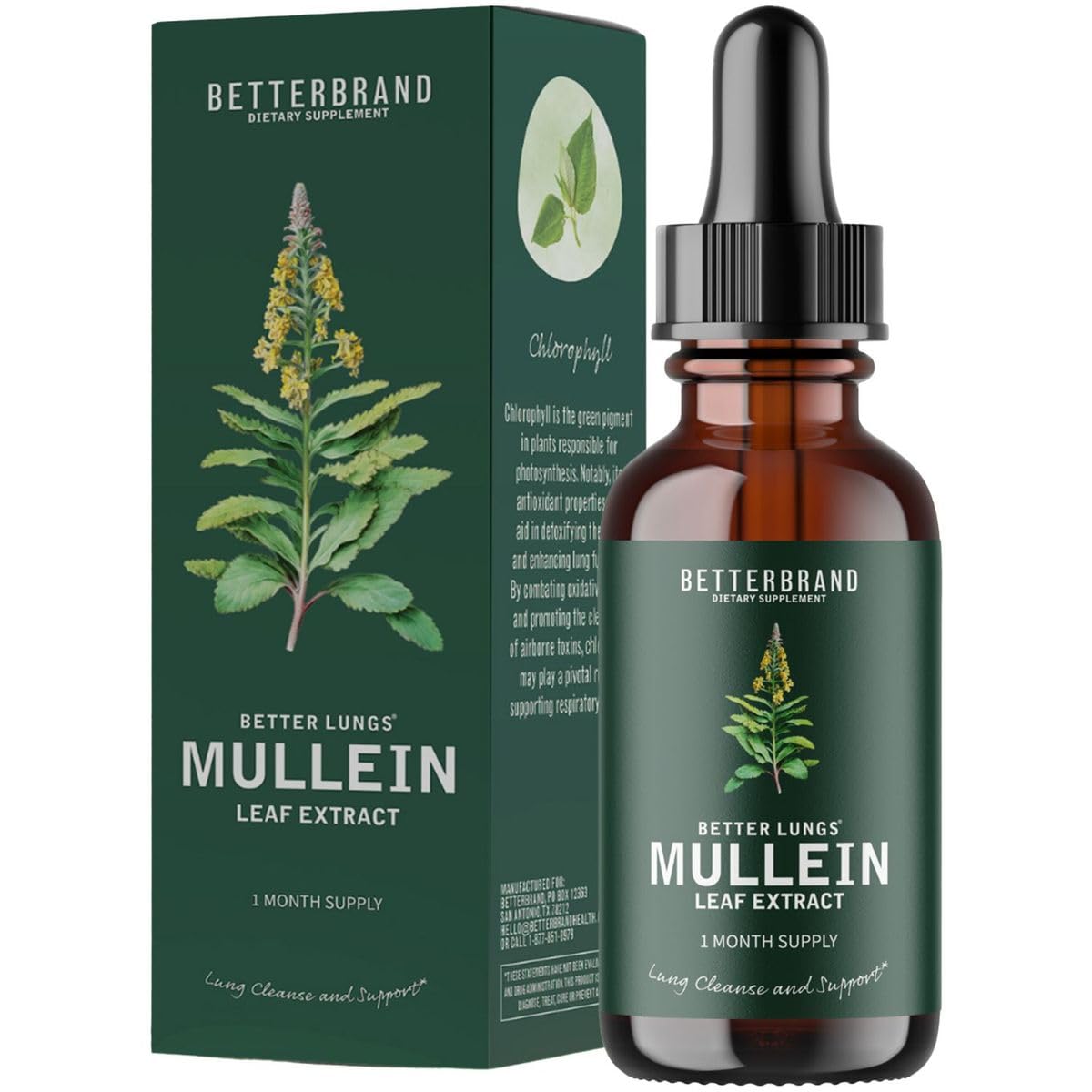 Mullein Leaf Extract